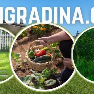 Дом и градина Dom Gradina COM (2) Всичко за градината и двора